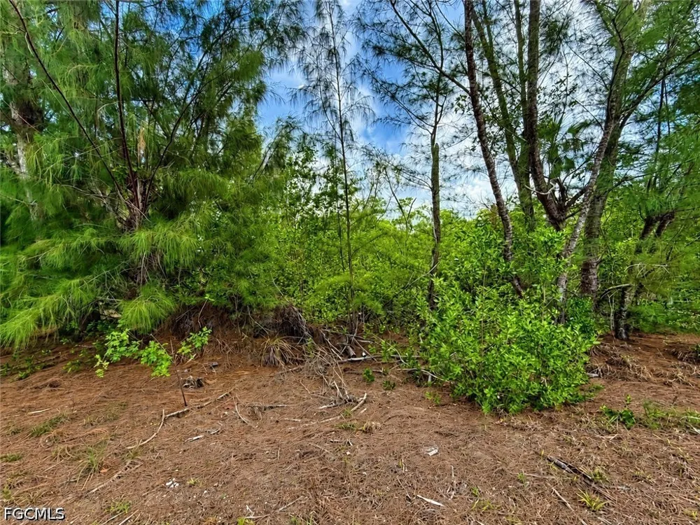 Sherwood Road Bokeelia, FL 33922