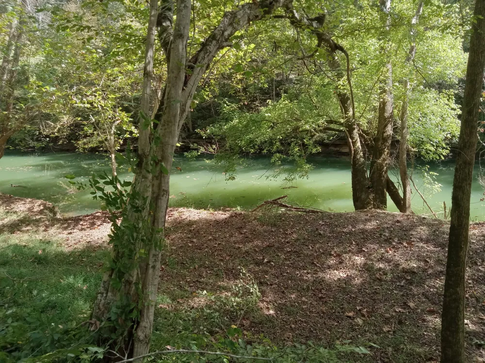 6750 Spencer Rd Rock Island, TN 38581