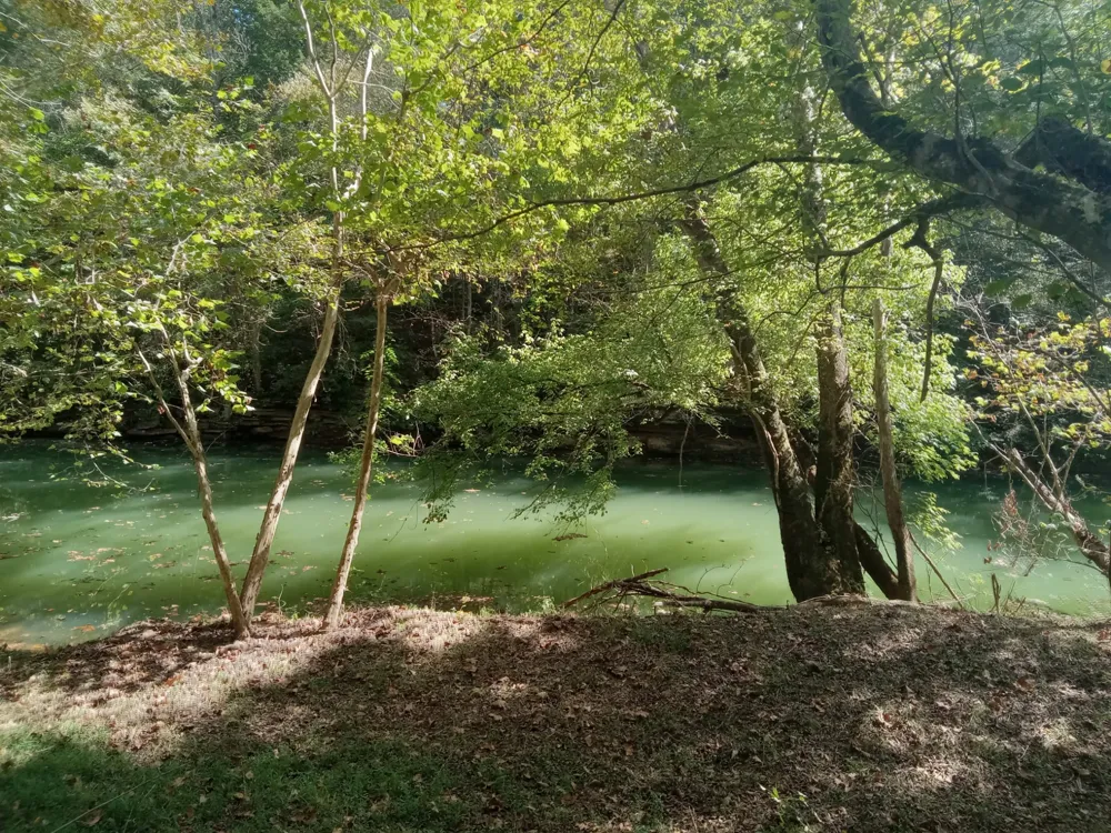 6750 Spencer Rd Rock Island, TN 38581