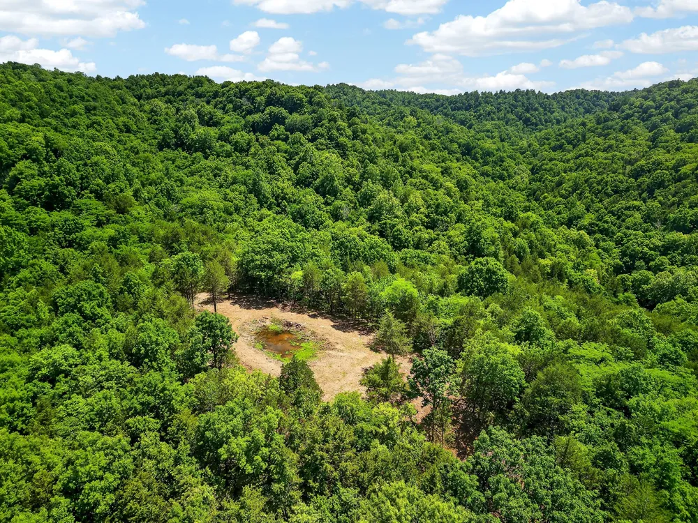 2926 Bryant Ridge Rd Baxter, TN 38544