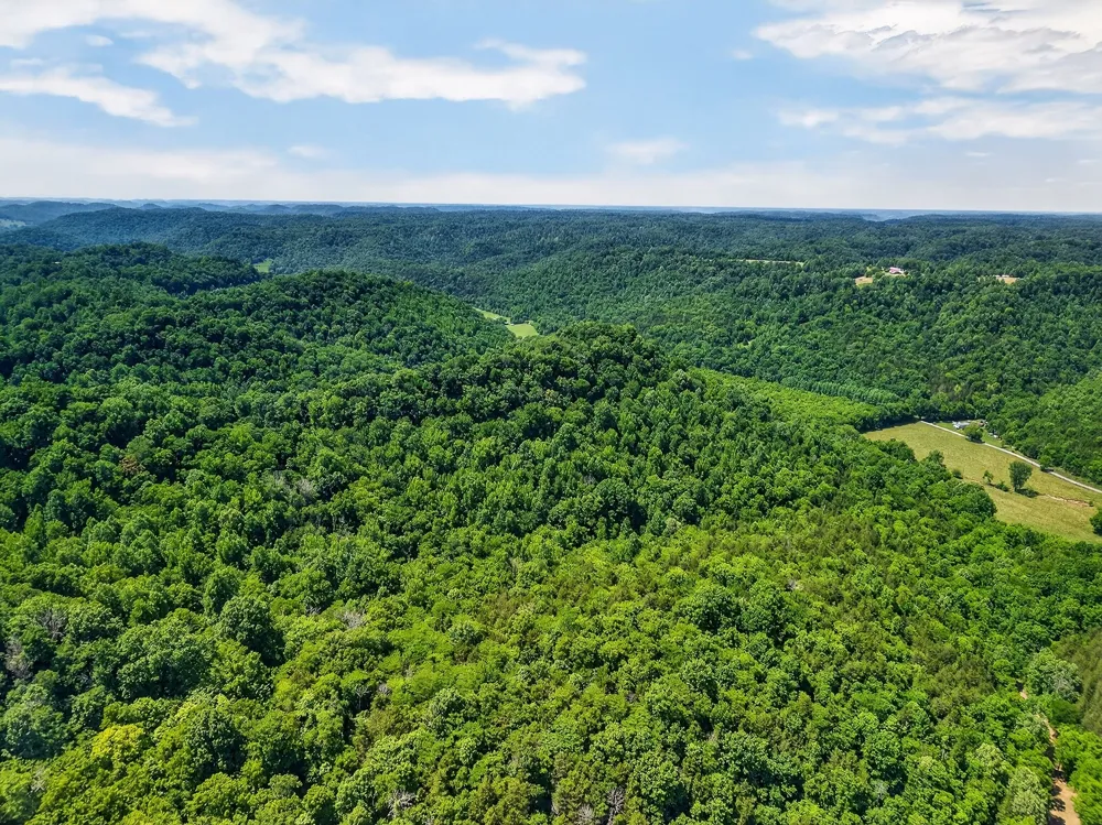 2926 Bryant Ridge Rd Baxter, TN 38544
