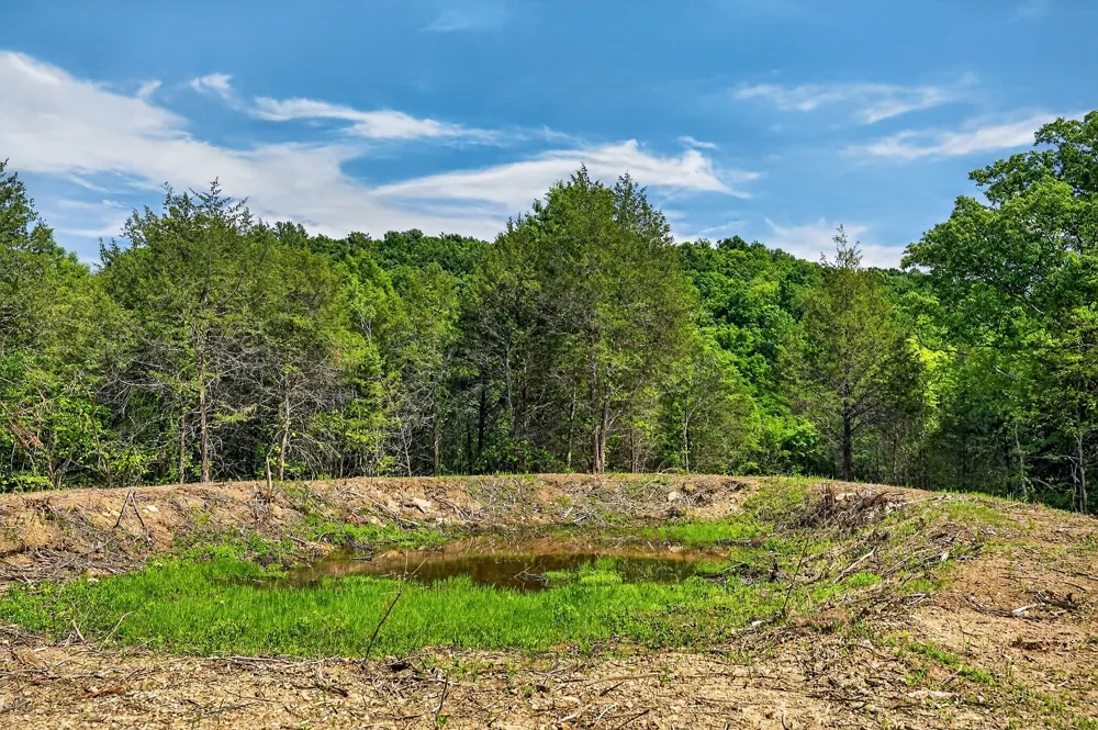 2926 Bryant Ridge Rd Baxter, TN 38544