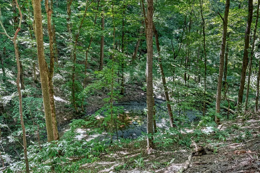 2926 Bryant Ridge Rd Baxter, TN 38544