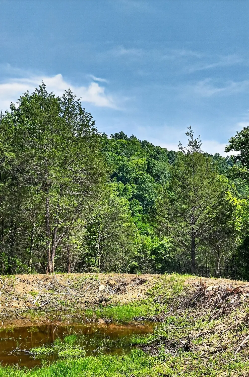 2926 Bryant Ridge Rd Baxter, TN 38544
