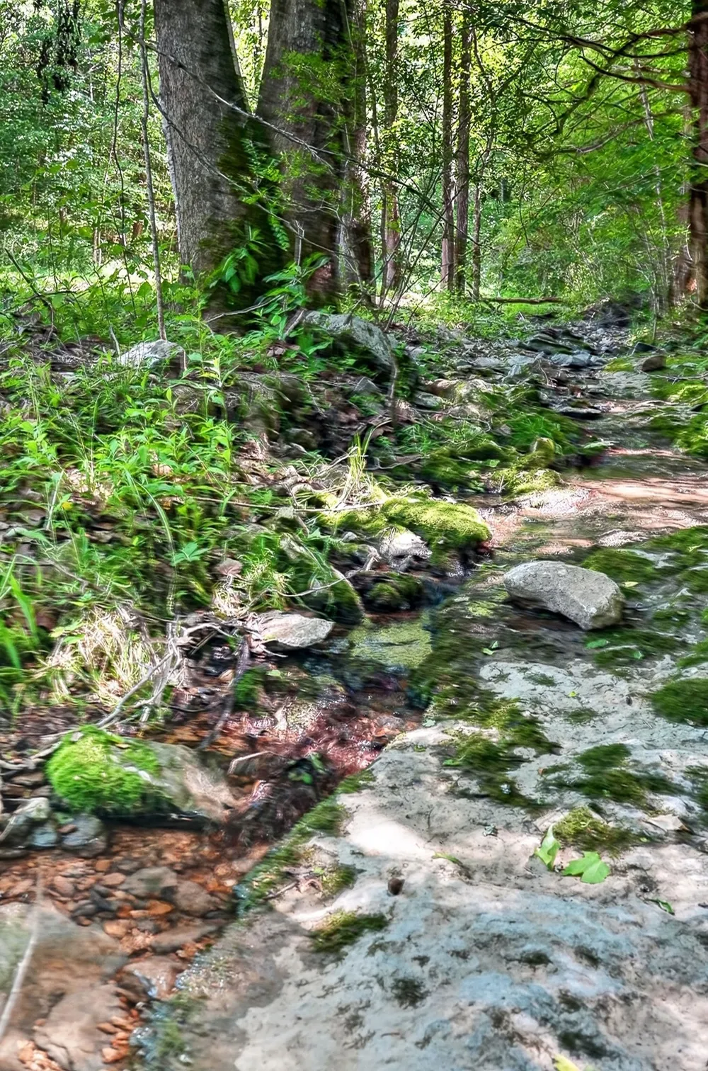 2926 Bryant Ridge Rd Baxter, TN 38544