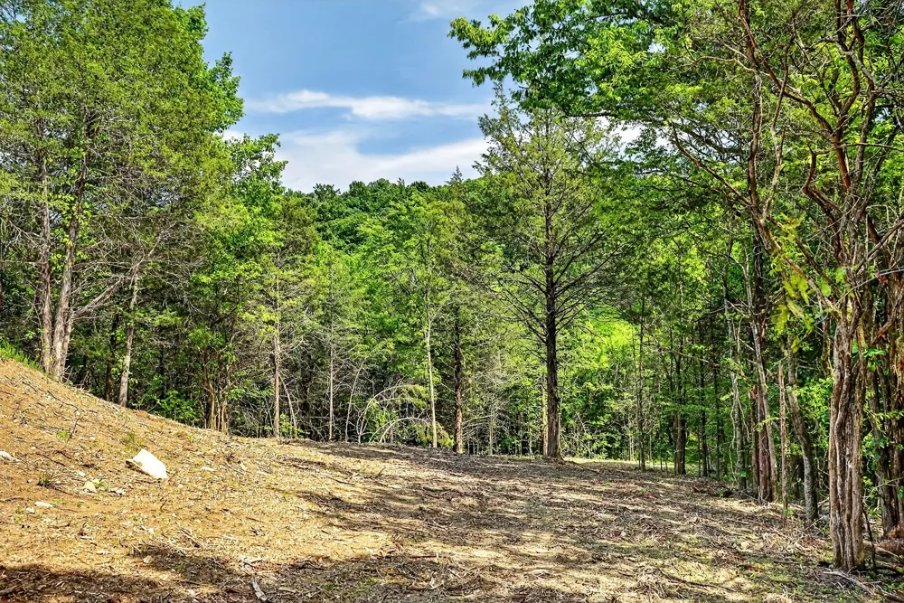 2926 Bryant Ridge Rd Baxter, TN 38544