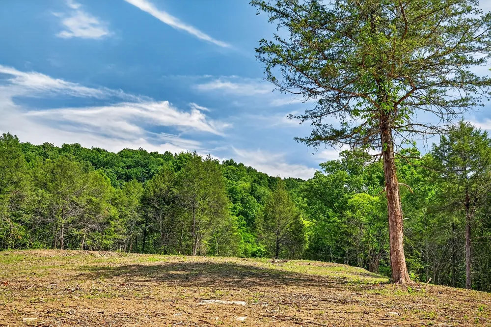 2926 Bryant Ridge Rd Baxter, TN 38544