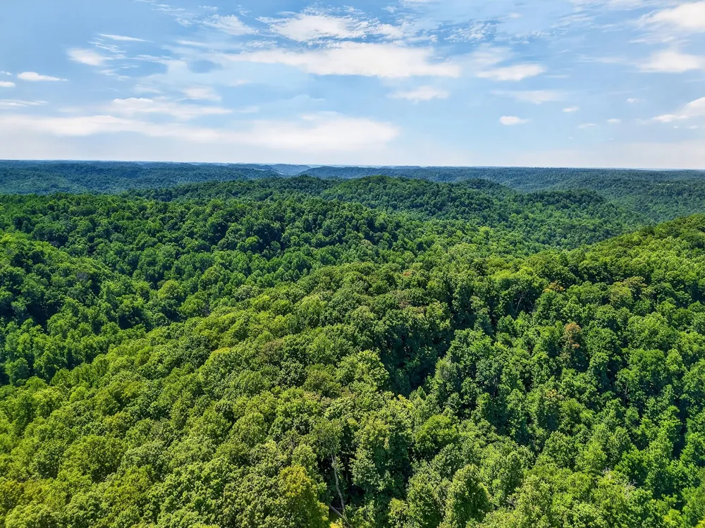 2926 Bryant Ridge Rd Baxter, TN 38544
