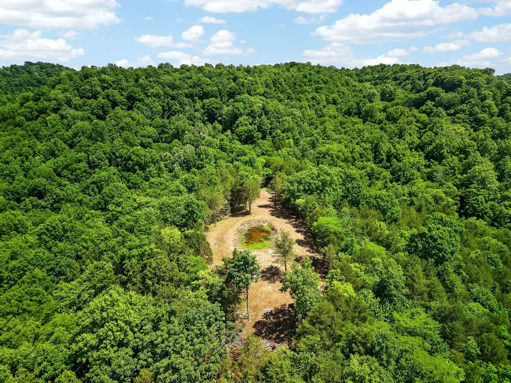 2926 Bryant Ridge Rd Baxter, TN 38544