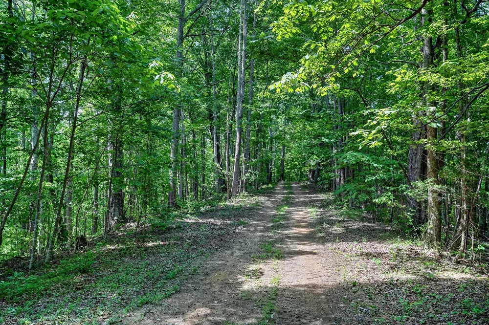2926 Bryant Ridge Rd Baxter, TN 38544