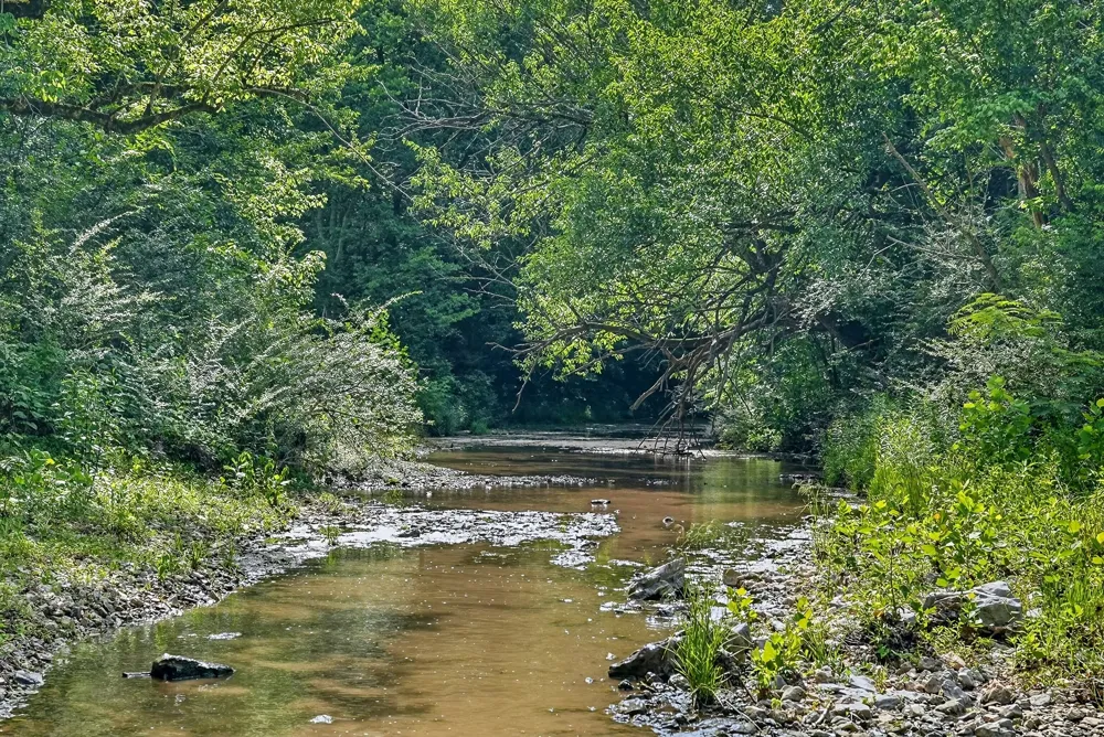 2926 Bryant Ridge Rd Baxter, TN 38544