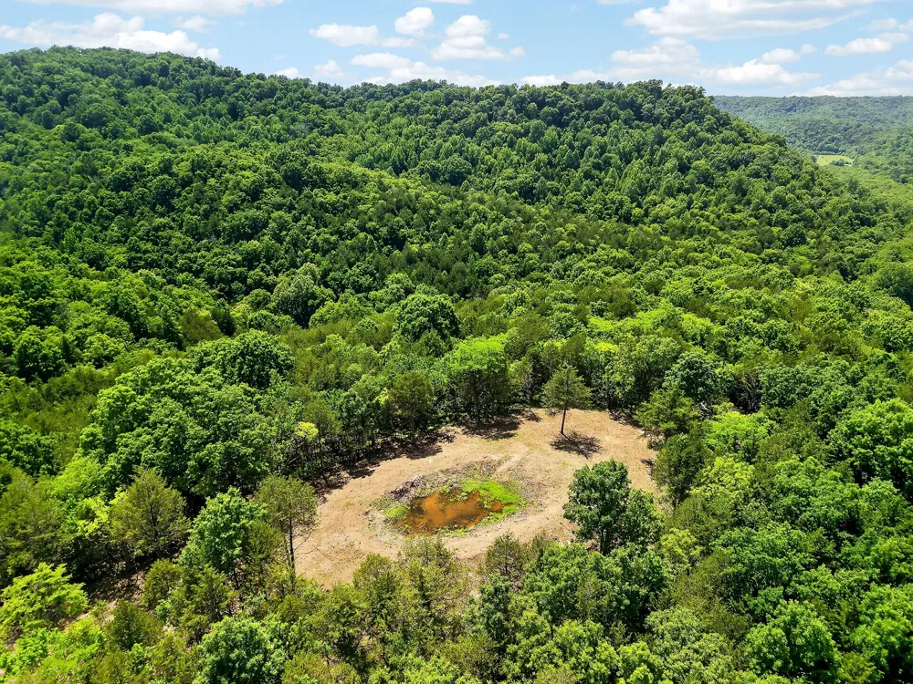 2926 Bryant Ridge Rd Baxter, TN 38544