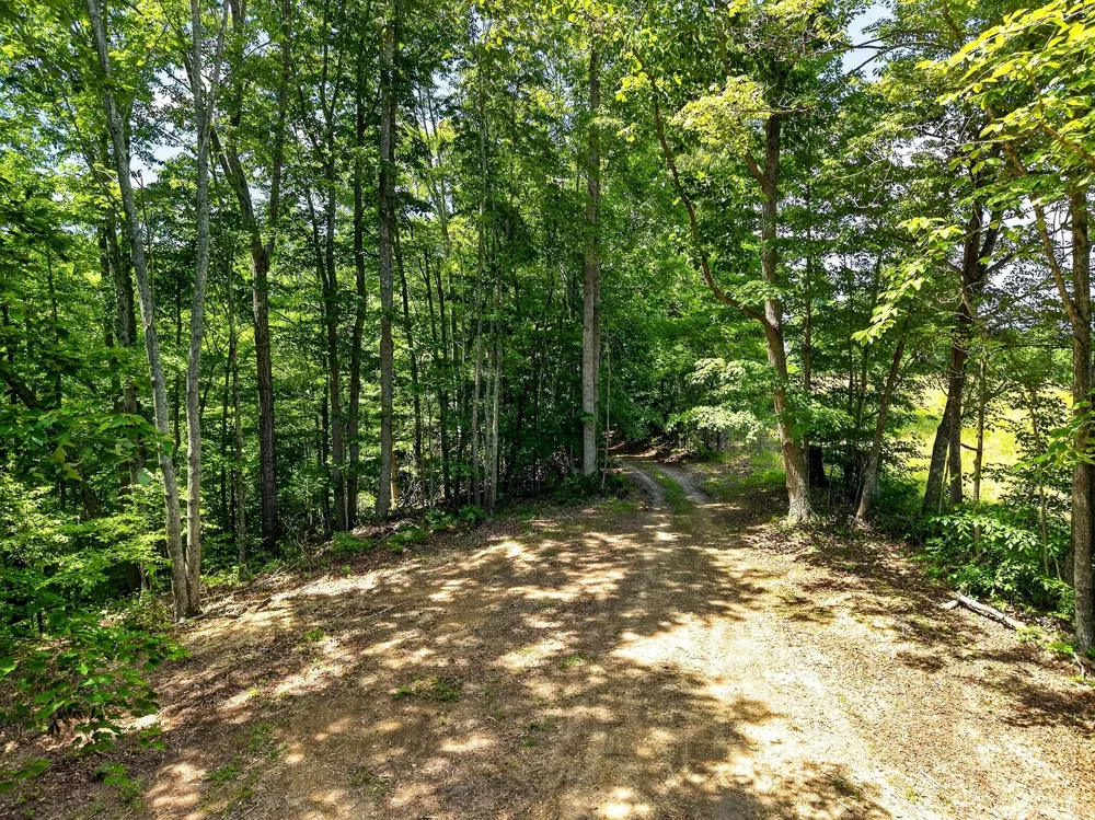 2926 Bryant Ridge Rd Baxter, TN 38544