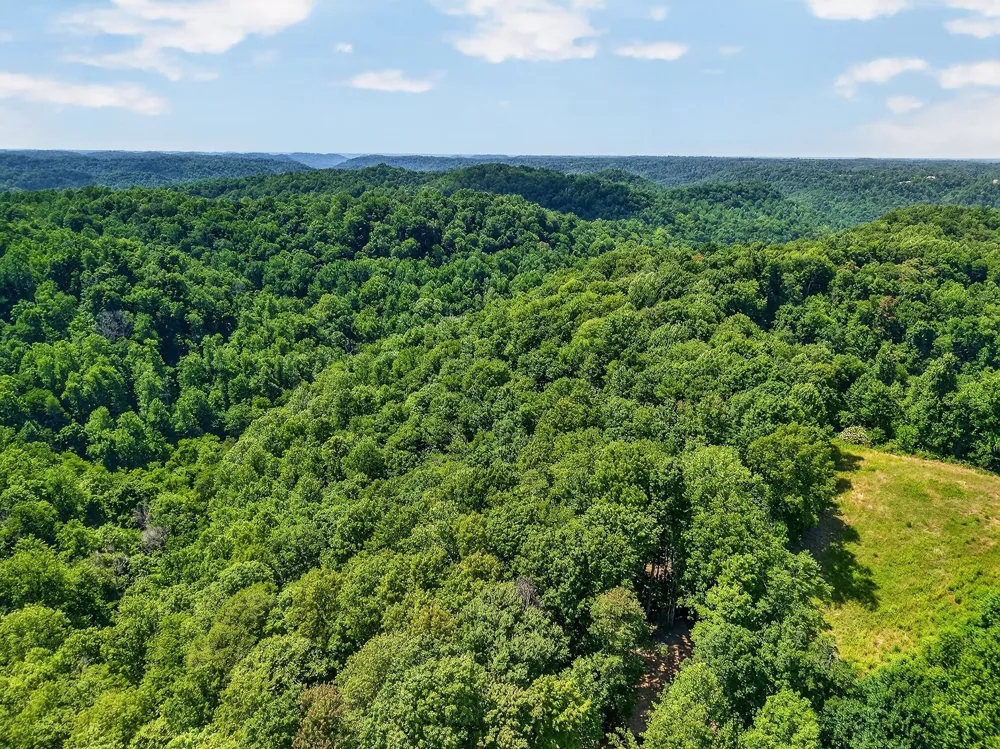 2926 Bryant Ridge Rd Baxter, TN 38544