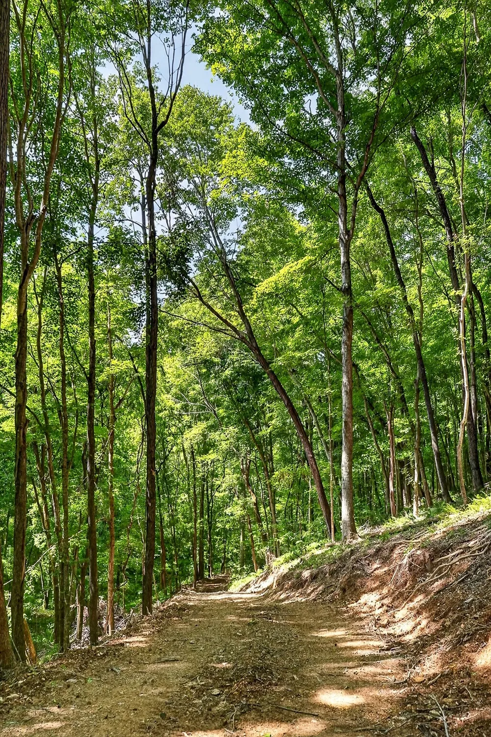 2926 Bryant Ridge Rd Baxter, TN 38544