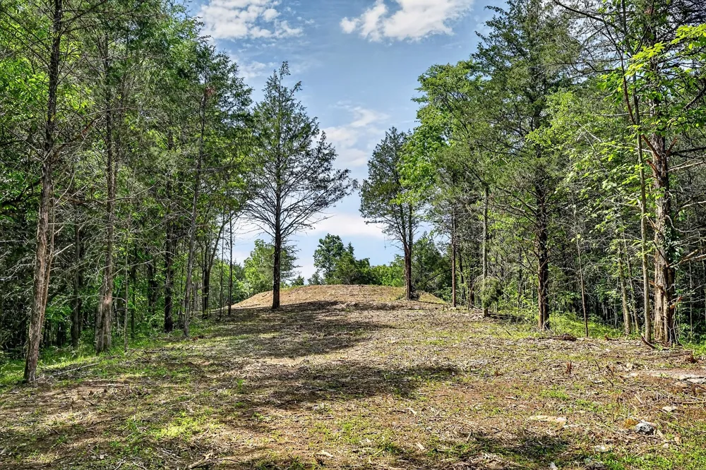 2926 Bryant Ridge Rd Baxter, TN 38544