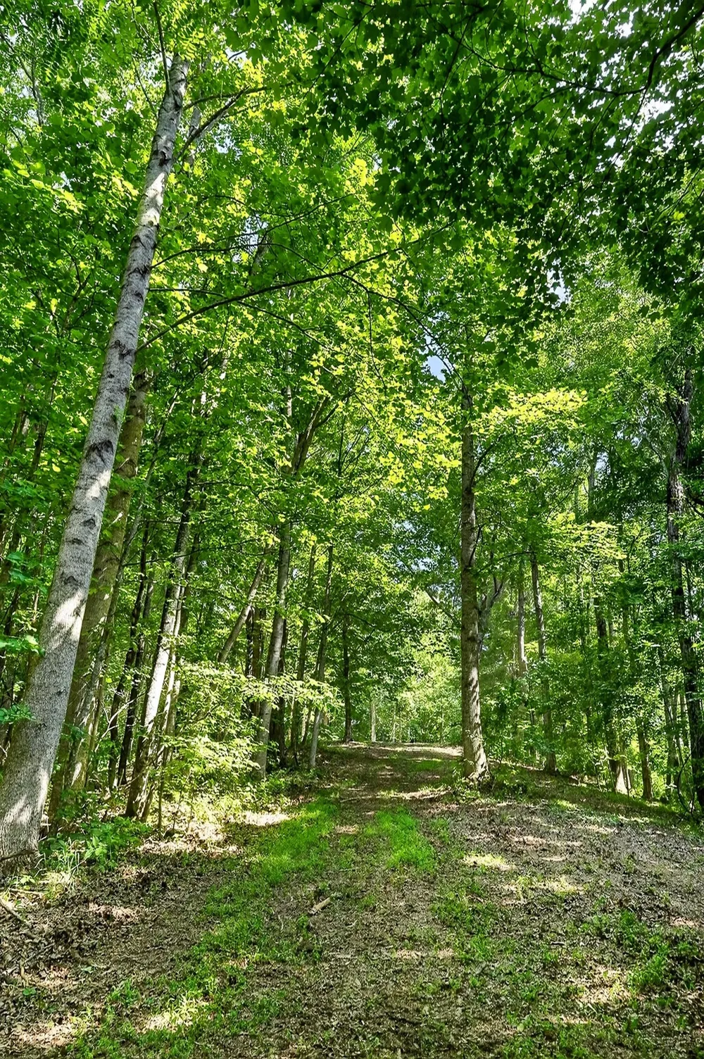2926 Bryant Ridge Rd Baxter, TN 38544