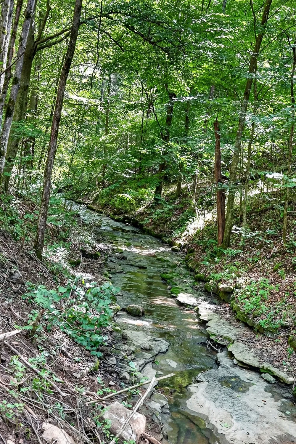 2926 Bryant Ridge Rd Baxter, TN 38544