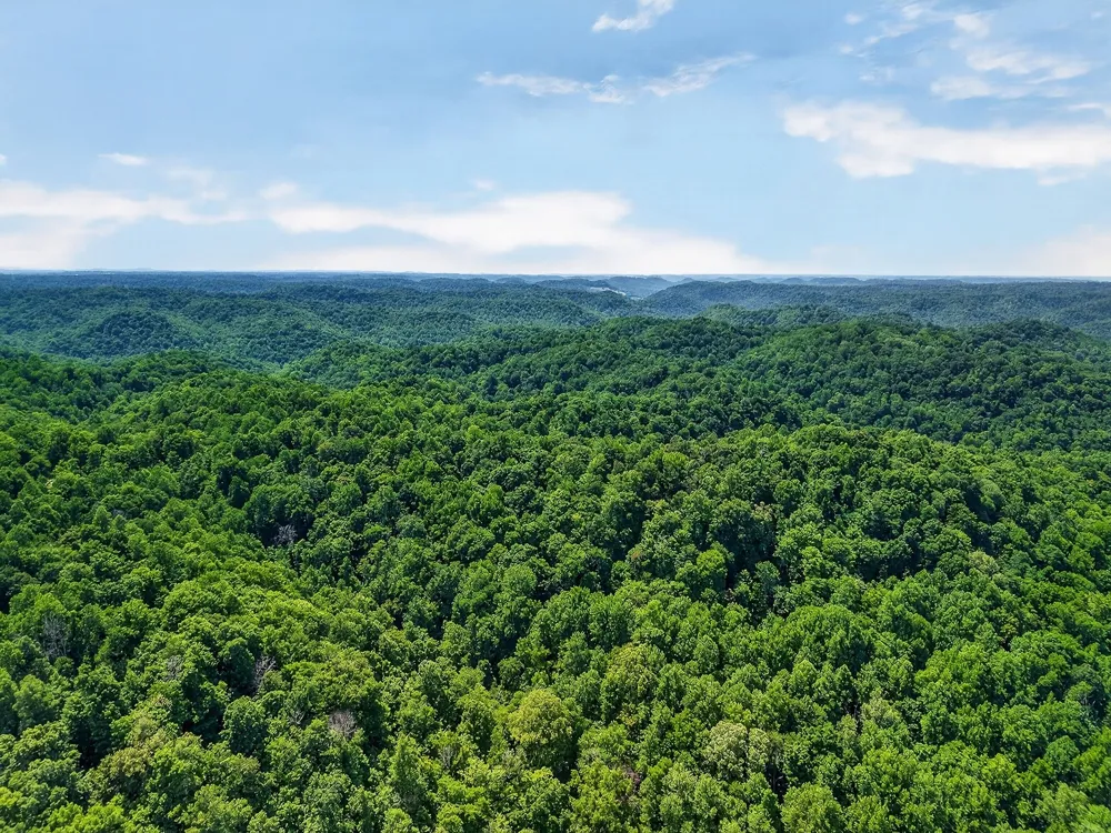 2926 Bryant Ridge Rd Baxter, TN 38544