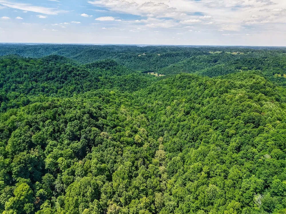 2926 Bryant Ridge Rd Baxter, TN 38544