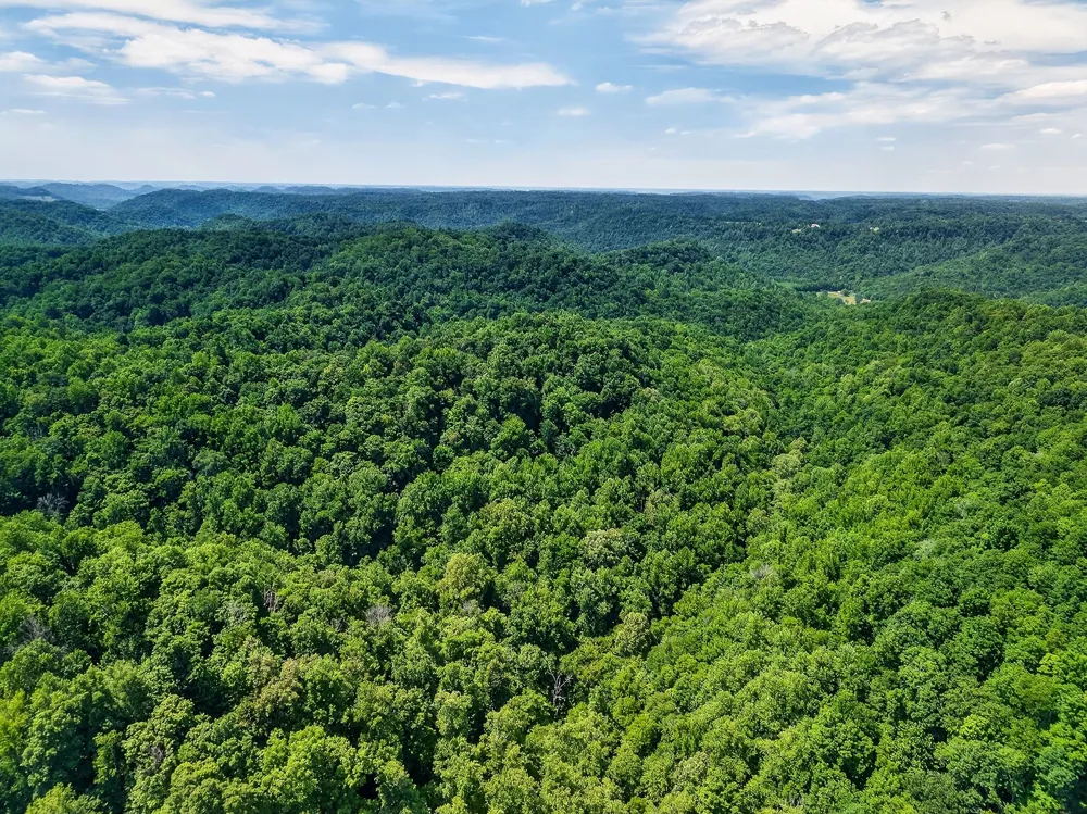 2926 Bryant Ridge Rd Baxter, TN 38544