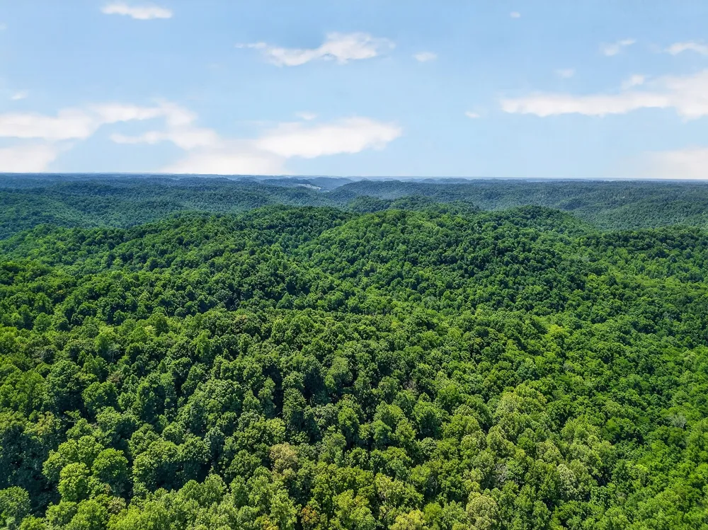 2926 Bryant Ridge Rd Baxter, TN 38544