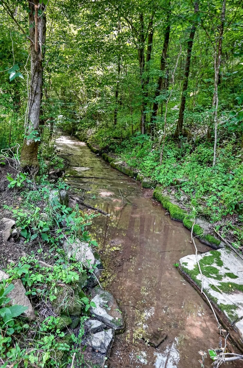 2926 Bryant Ridge Rd Baxter, TN 38544