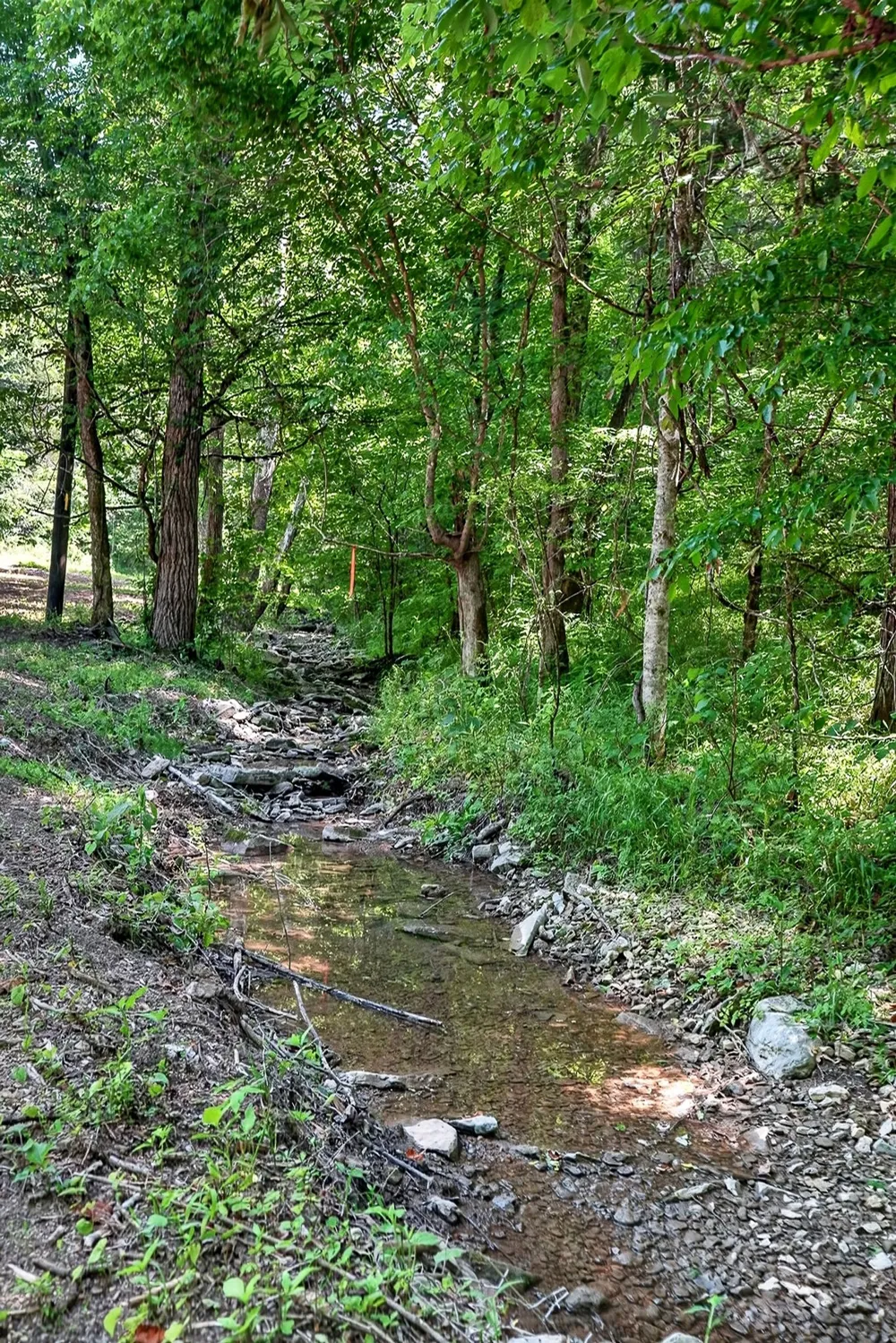 2926 Bryant Ridge Rd Baxter, TN 38544