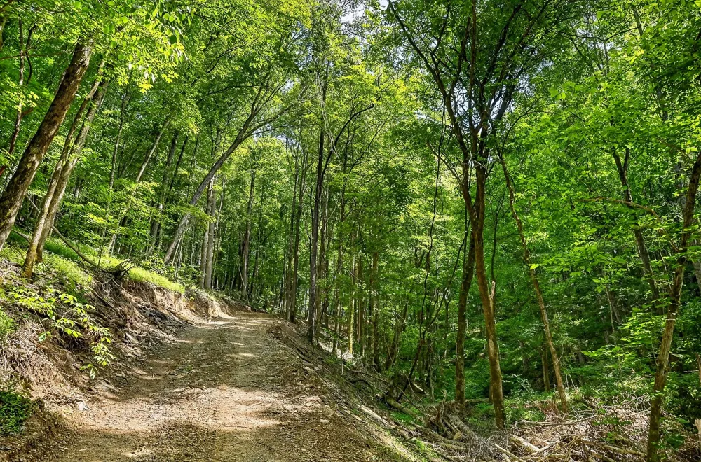 2926 Bryant Ridge Rd Baxter, TN 38544