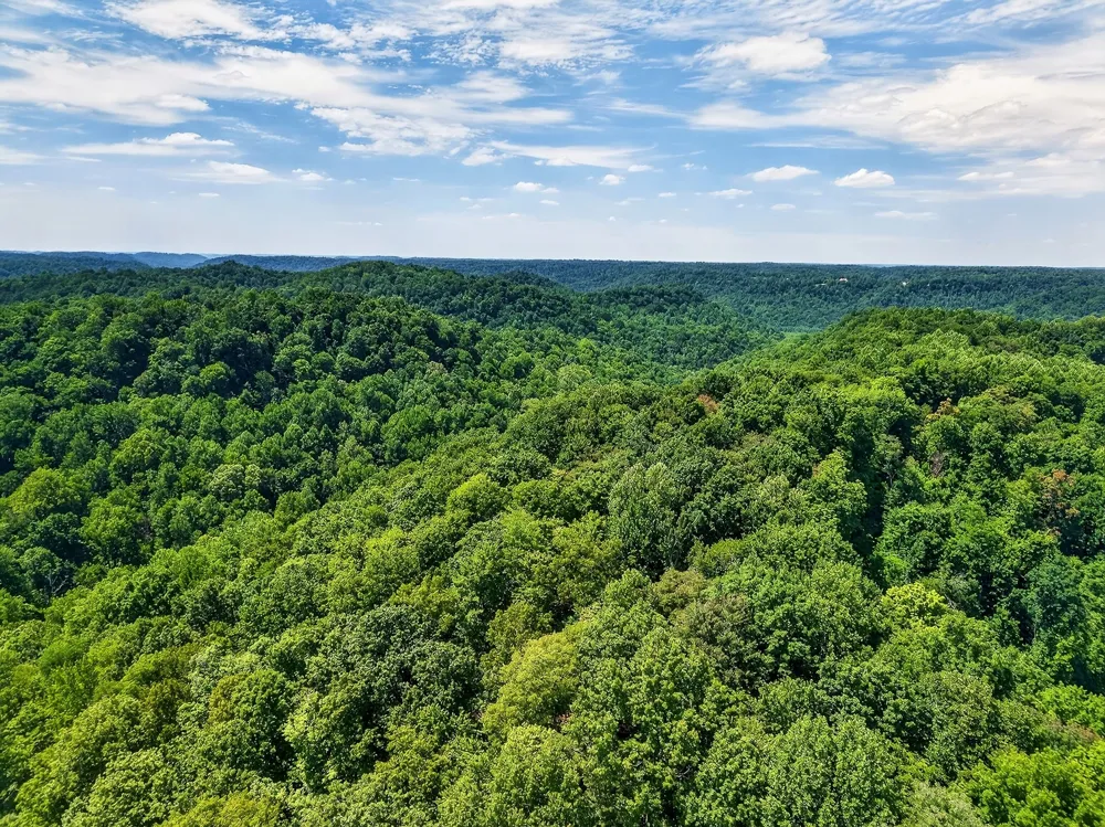 2926 Bryant Ridge Rd Baxter, TN 38544