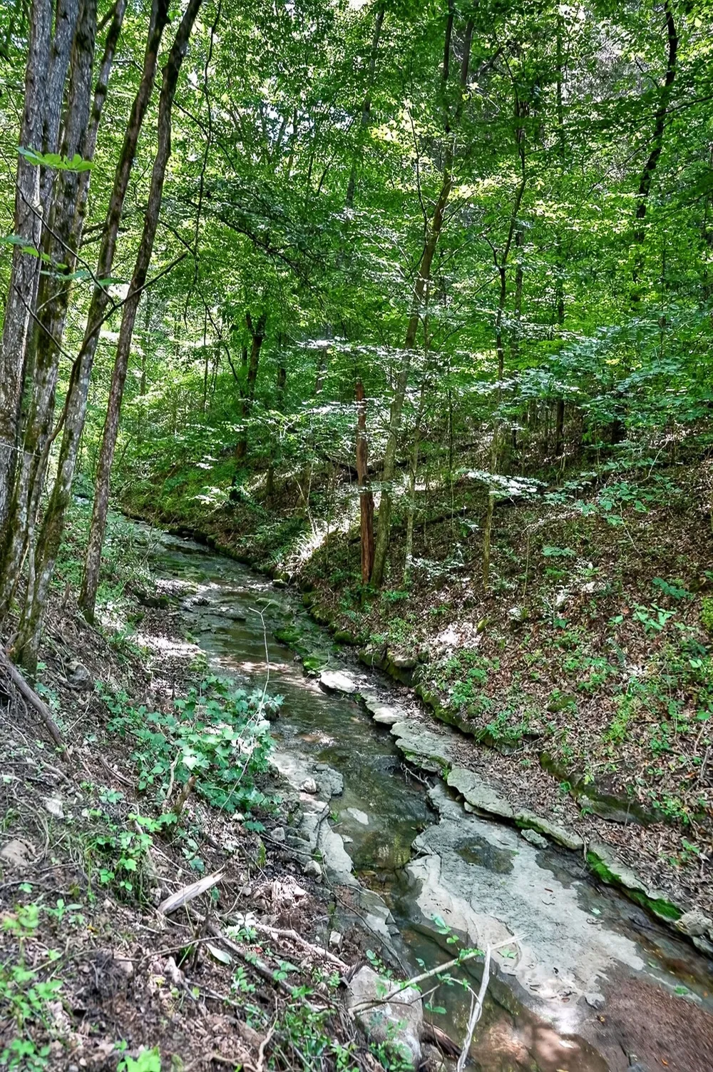 2926 Bryant Ridge Rd Baxter, TN 38544