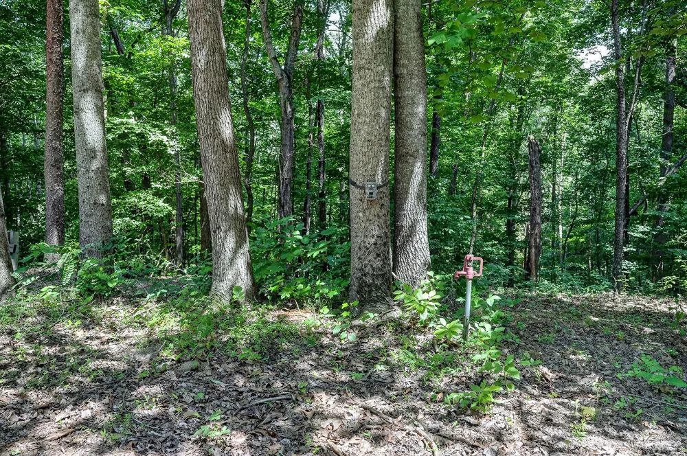 2926 Bryant Ridge Rd Baxter, TN 38544