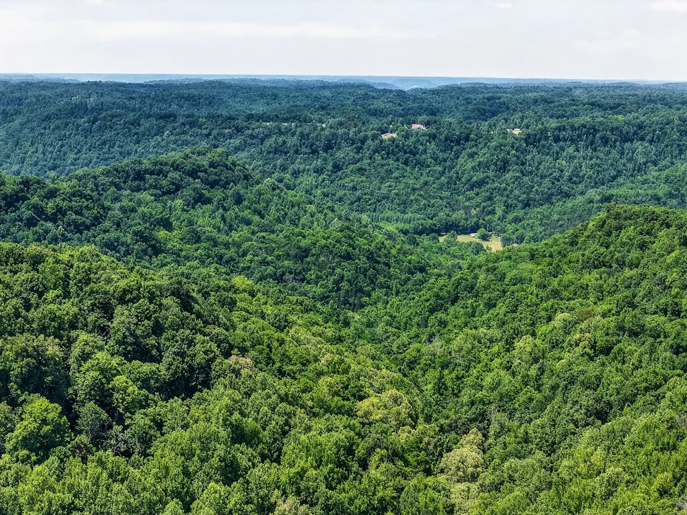 2926 Bryant Ridge Rd Baxter, TN 38544