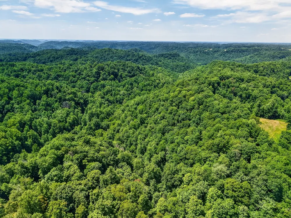 2926 Bryant Ridge Rd Baxter, TN 38544