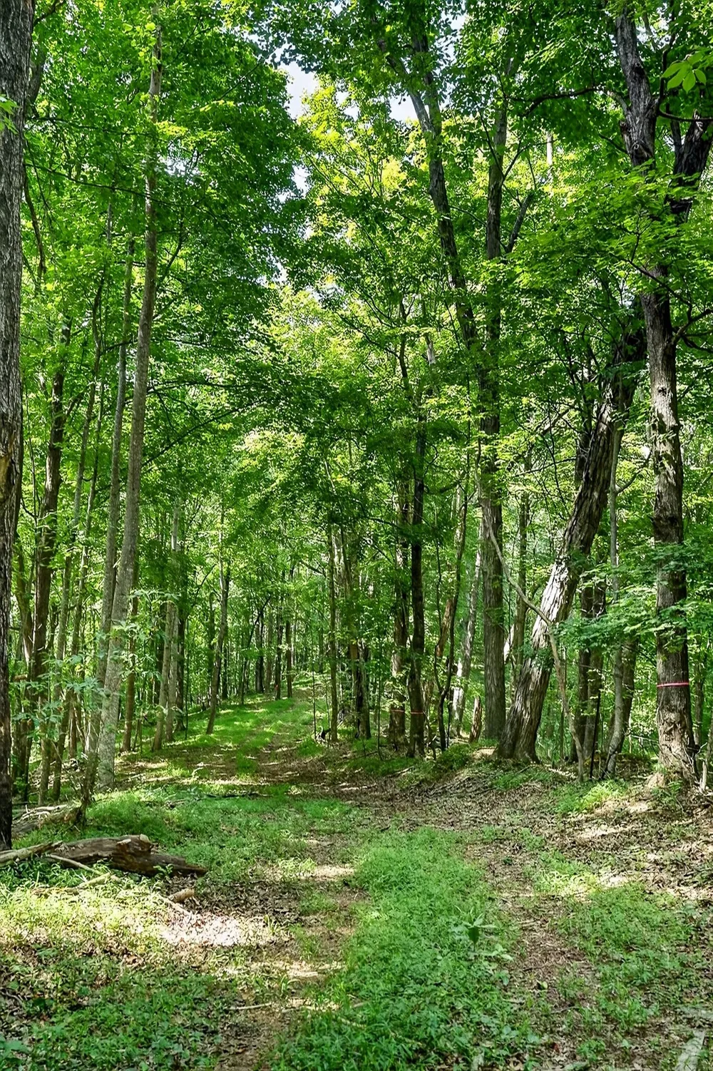2926 Bryant Ridge Rd Baxter, TN 38544
