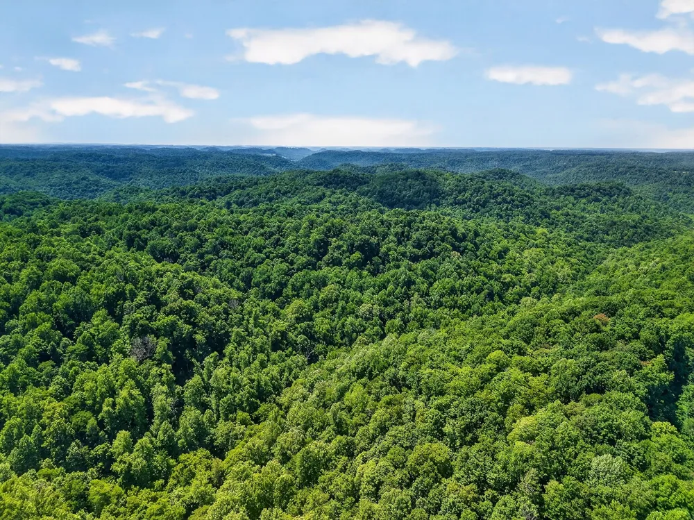 2926 Bryant Ridge Rd Baxter, TN 38544