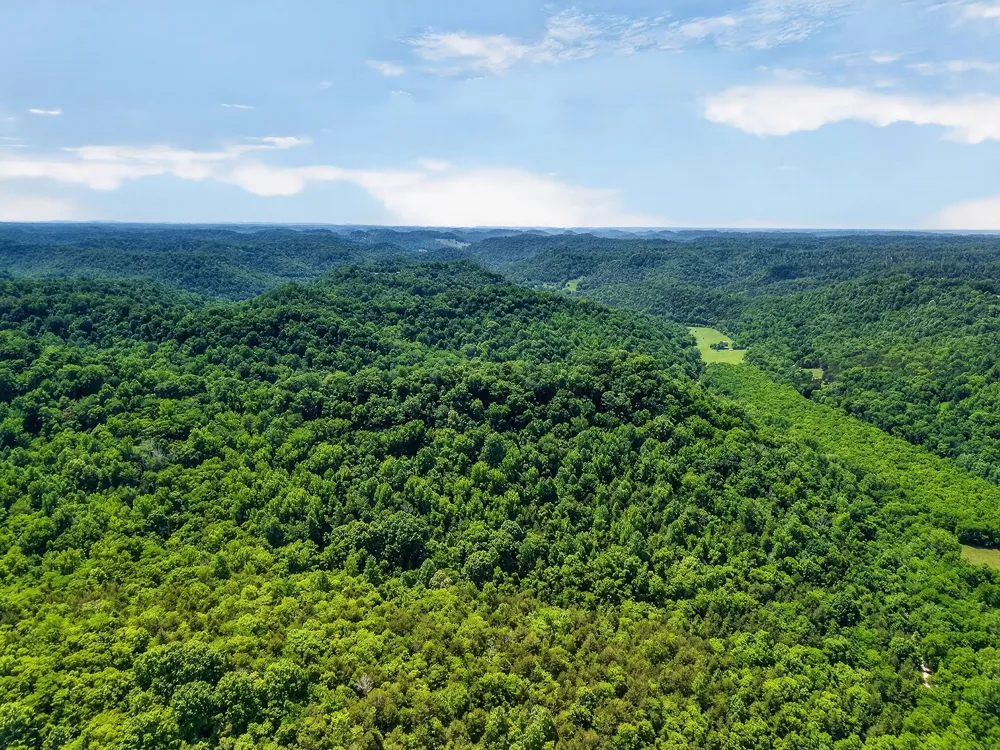 2926 Bryant Ridge Rd Baxter, TN 38544