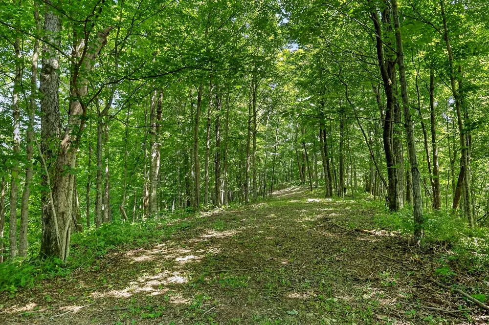 2926 Bryant Ridge Rd Baxter, TN 38544