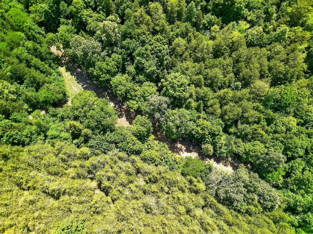 2926 Bryant Ridge Rd Baxter, TN 38544