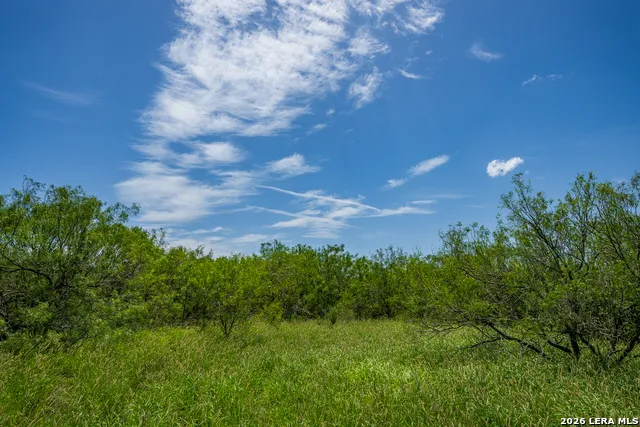 TBD State Highway 16 Freer, TX 78357