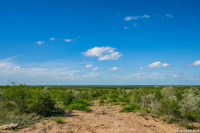 TBD State Highway 16 Freer, TX 78357