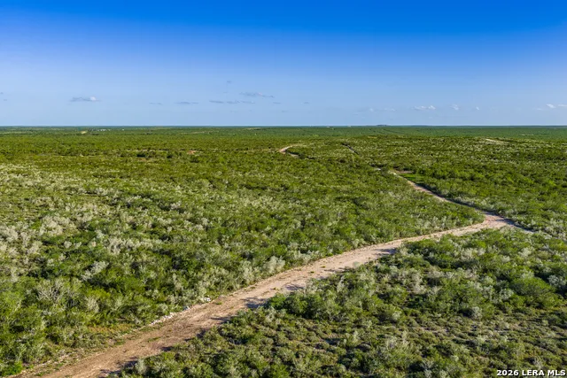 TBD State Highway 16 Freer, TX 78357