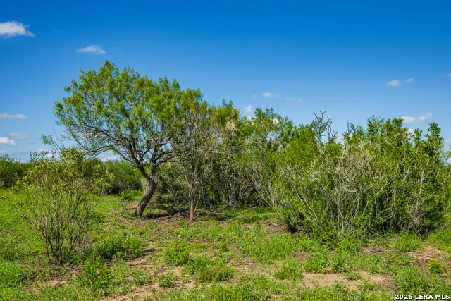 TBD State Highway 16 Freer, TX 78357