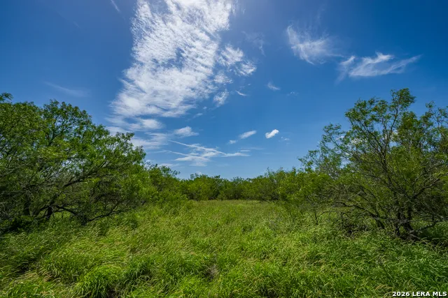TBD State Highway 16 Freer, TX 78357