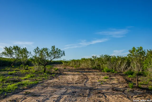 TBD State Highway 16 Freer, TX 78357
