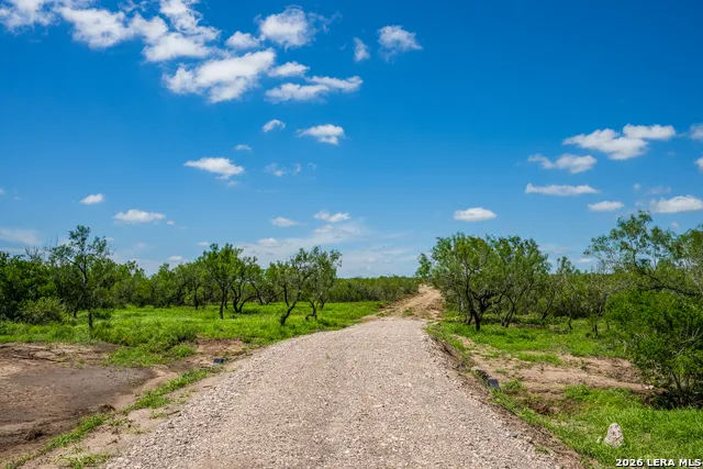TBD State Highway 16 Freer, TX 78357