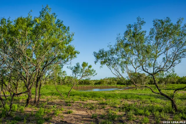 TBD State Highway 16 Freer, TX 78357