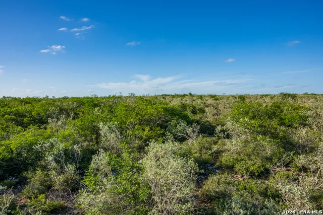 TBD State Highway 16 Freer, TX 78357