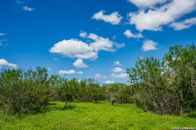 TBD State Highway 16 Freer, TX 78357