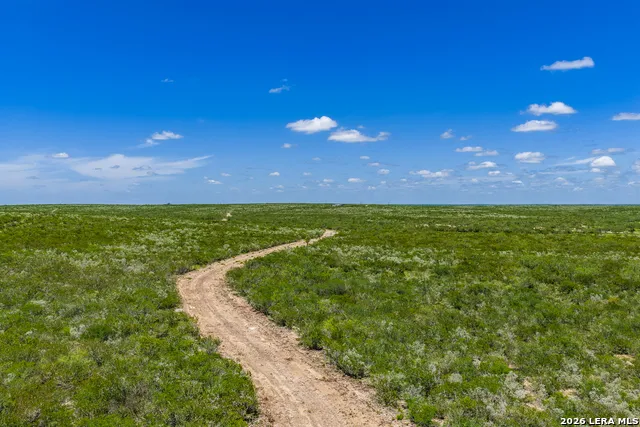 TBD State Highway 16 Freer, TX 78357